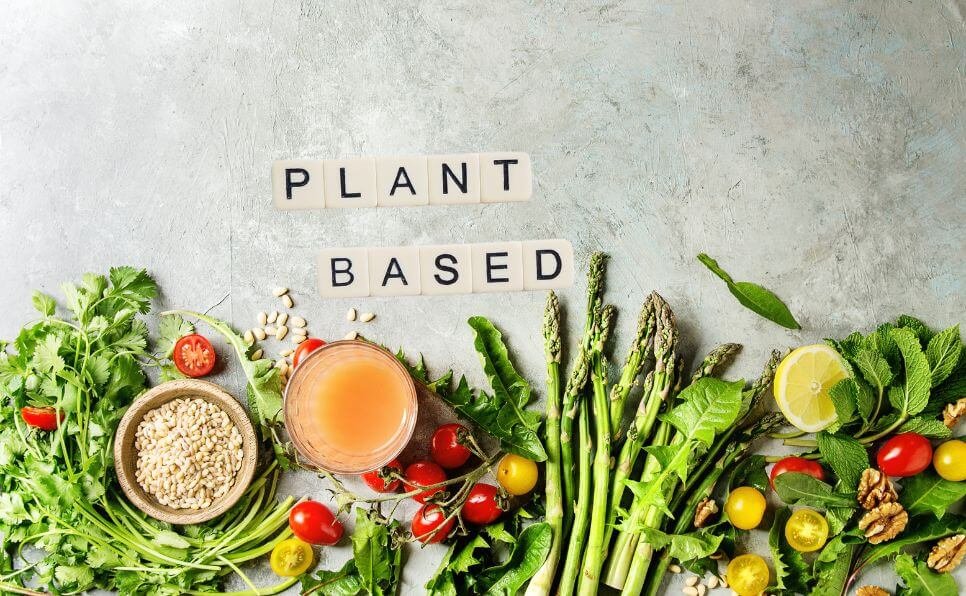 Guías y recursos veganos gratuitos