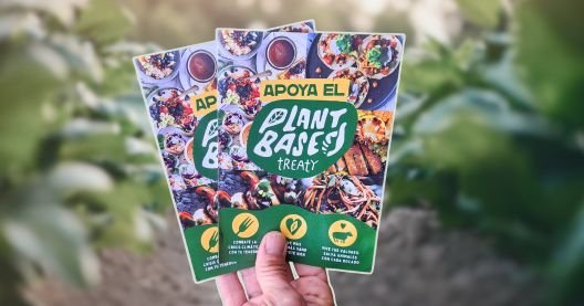 Parla lidera a transición a una alimentación basada en plantas en España
